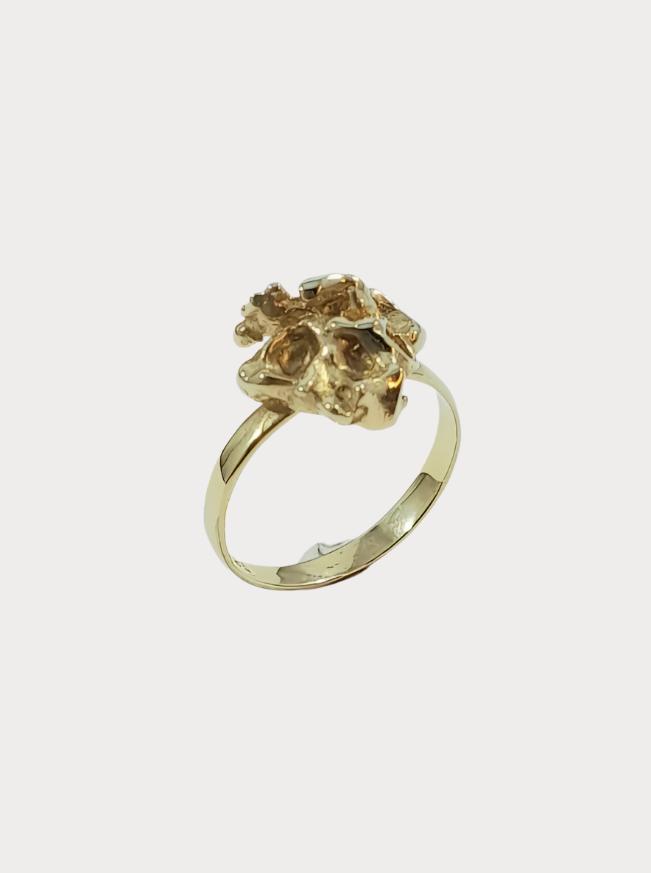 Collection ring 2