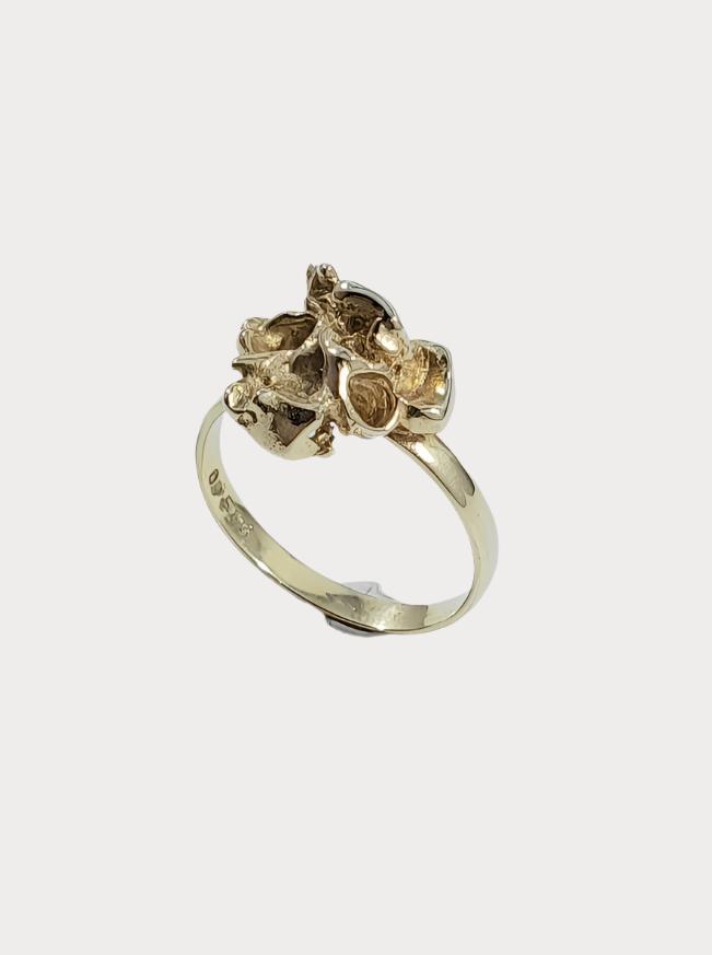 Collection ring 2